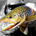 Accueil 1aa3fb2e2baa7b22d0e3b494a823f806