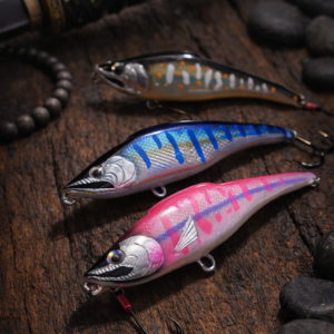 Accueil hoya obovatum